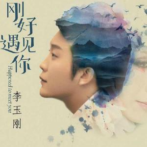 李玉刚 - 刚好遇见你（DJ小鱼儿 Remix)