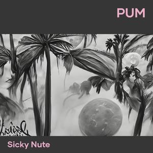 Pum