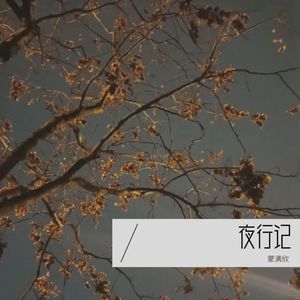 夜行记