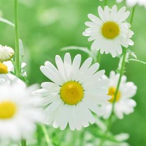 一半疯了一半算了