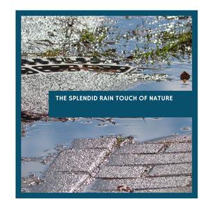 Elegant Water Ripples on Rocks