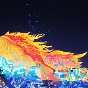 爱而不得