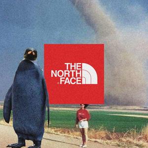 northface