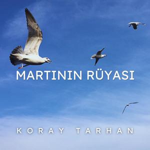 Martının Rüyası