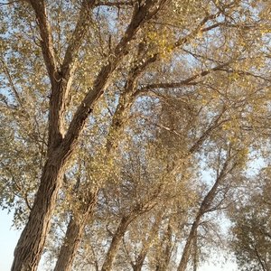 有你的寻常胜过我所有的辉煌