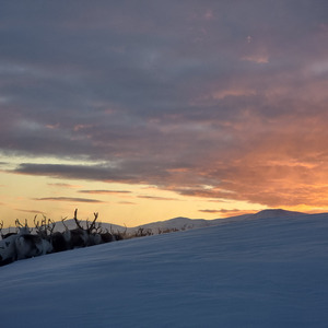 Iđitguovssu (Remix)