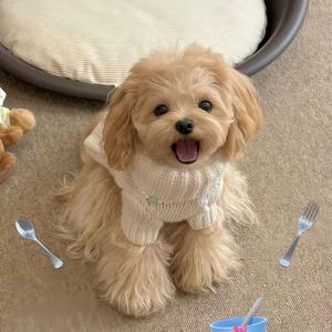 爱你但说不出口