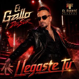 Llegaste Tu
