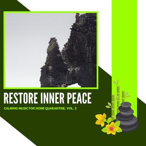 A Dark Night In Forest