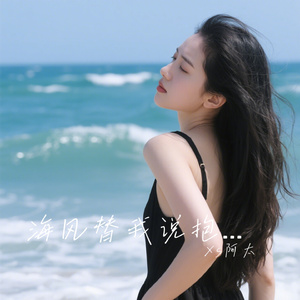 海风替我说抱歉