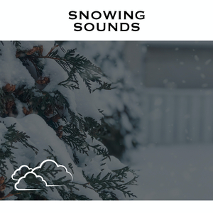 Winter Storms - No Fade