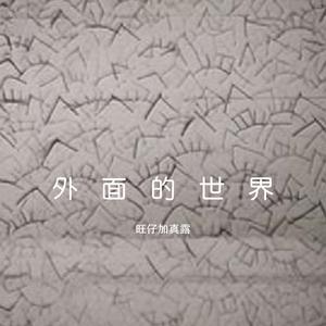 外面的世界 (emo女生版)