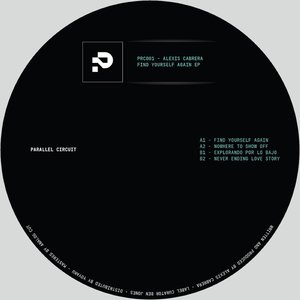 Never Ending Love Story