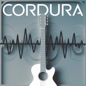 Cordura