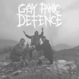 Gay Panic Defence