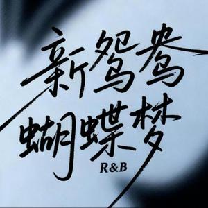 新鸳鸯蝴蝶梦