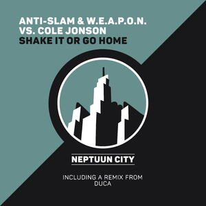 Shake It or Go Home (Original Mix)