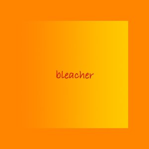 bleacher(more feel like on the bleacher).wav