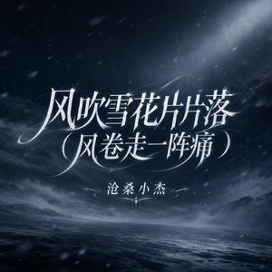 风吹雪花片片落(风卷走一阵痛)