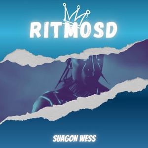 RITMOSD