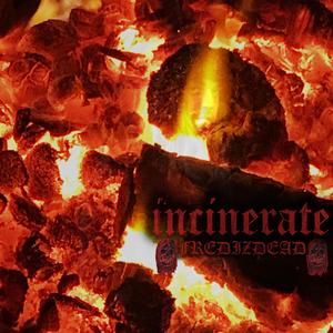 INCINERATE