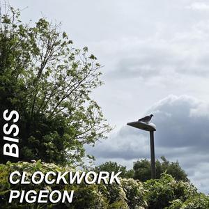 Clockwork Pigeon