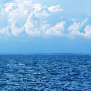 蓝田日暖玉生烟处