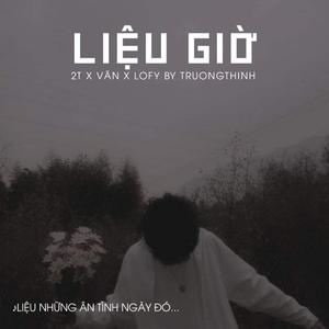 Liệu Giờ (feat. 2T, Văn & Lofy) (TruongThinh remix)