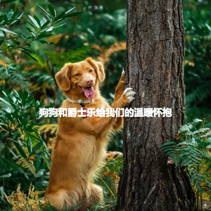 Dream Like Piano Duo and Alto Sax - Vibe for Individual Focusing