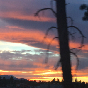 always on that chase to hit up outer space