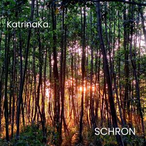Schron