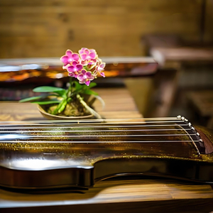 黄帝内经音乐疗法