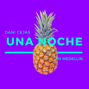 Una Noche En Medellin (Remix)