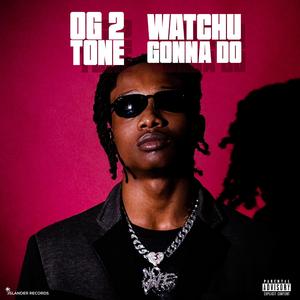 WATCHU GONNA DO