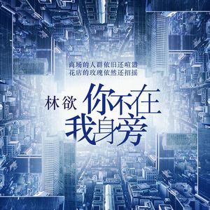 你不在我身旁
