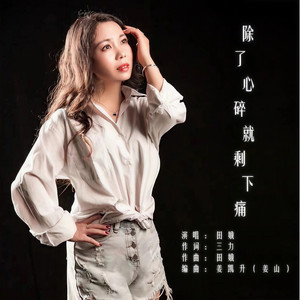 除了心碎就剩下痛 (DJ版)