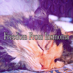 Soaring High with Hope