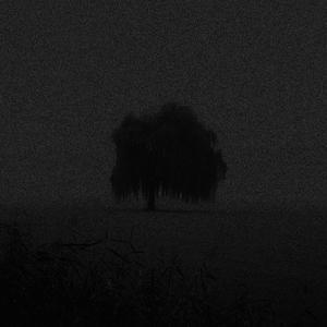 in the middle of nowhere (super slowed)