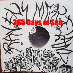 365 Days of Sun