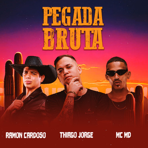 Pegada Bruta