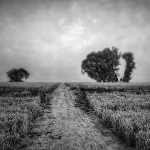 行行重行行-其一