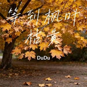 等到枫叶枯黄 (Cover 陆杰awr)