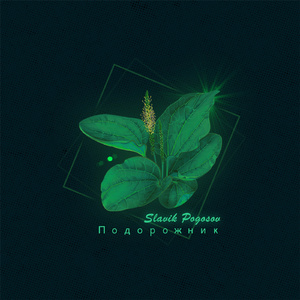 Подорожник