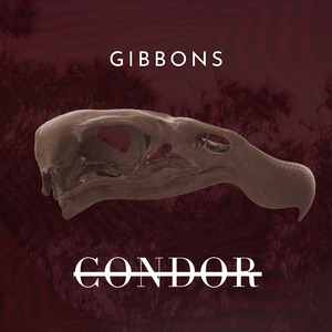 Cóndor