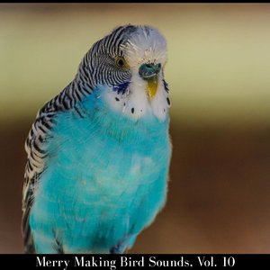 Bllosom Northen Flicker Crickets