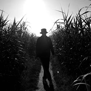 Pallottole e lacrime