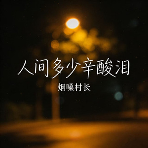 人间多少辛酸泪