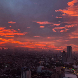 你就不要想起我