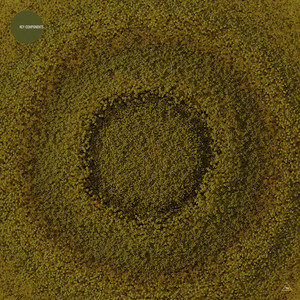 Precession (Extended Mix)