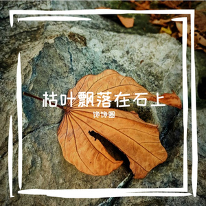 雪花缀满音孔